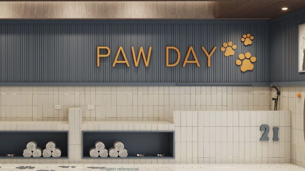 paw day