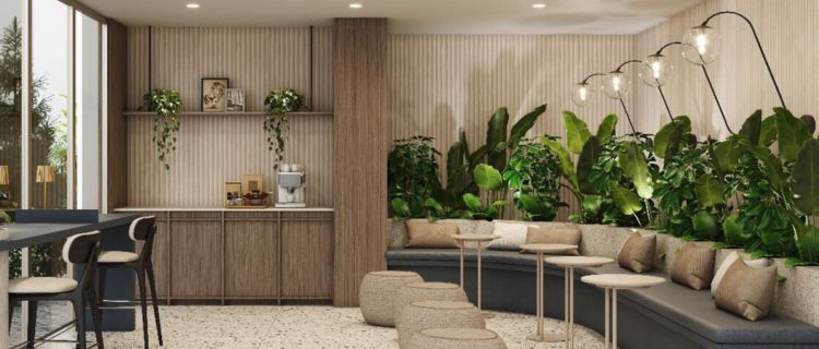 Plantas ideales en un lobby