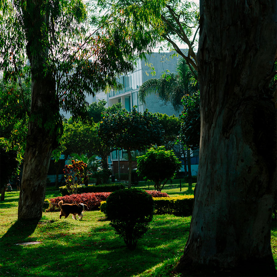 Parque Naciones Unidas