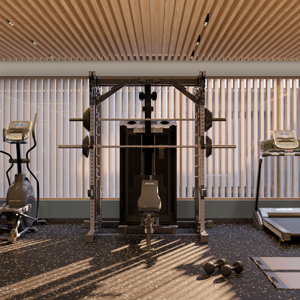 Gimnasio