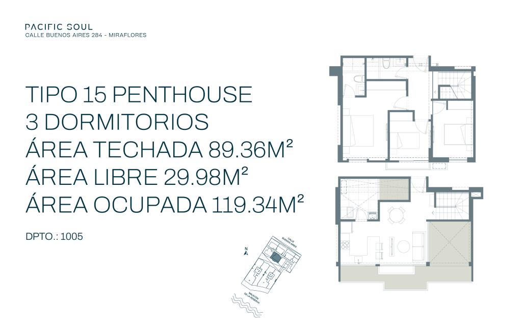 Plano web de proyecto Pacific Soul Buenos Aires tipo 15
